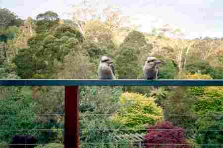 Upwey VIC Holiday Find