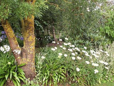 Shady Creek VIC Holiday Find