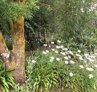 Springbank Bed and Breakfast - Holiday Find