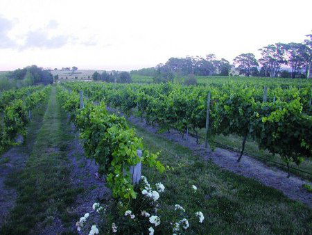Glen Erin At Lancefield - Holiday Find 3