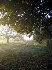 Corinella Country House - Holiday Find 4