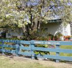 Ardwick Homestead - Holiday Find