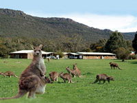 Halls Gap Log Cabins - Holiday Find 2