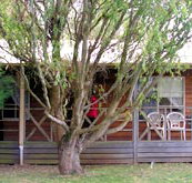 BIG4 Ballarat Windmill Holiday Park - Holiday Find