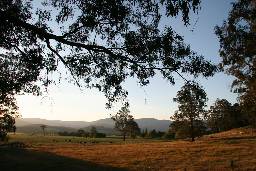 Cann River Rainforest Caravan Park - Holiday Find 0