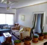 The Kosy Koala - Holiday Find