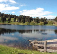 Glenlynn Cottages