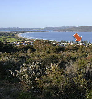 The Castlereagh 4 - Holiday Find 4