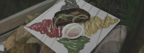Peppers Spa - Palm Cove - Holiday Find 5