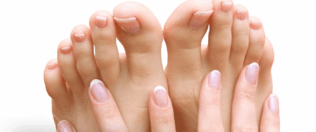 Ella Bache - Holiday Find