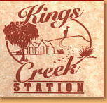 Kings Creek Station - Holiday Find