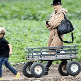 Perth City Farm Organic Markets - Holiday Find