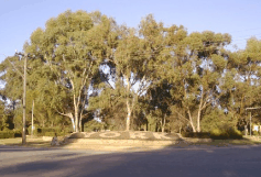 The York Residency Museum - Holiday Find 2