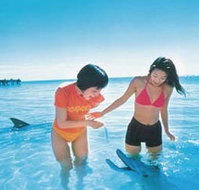 Kookaburra Air - Holiday Find