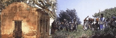 St Helena Island - Holiday Find 1