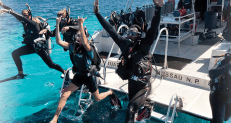 Snorkel Safari Brisbane - Holiday Find
