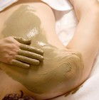 Norbu - Holiday Find 2