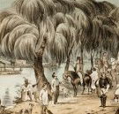 Joshua McClelland Print Room - Holiday Find