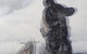 Scott Livesey Galleries - thumb 0