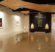 Counihan Gallery In Brunswick - Holiday Find