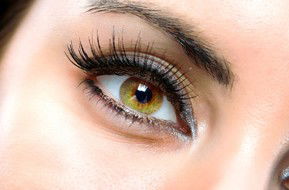 Beauty On Ryrie - Holiday Find 1