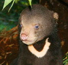 Perth Zoo - Holiday Find