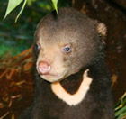 Perth Zoo - Holiday Find 0