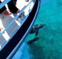 Pelican Charters - Holiday Find