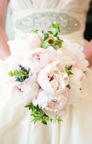 Karralyka Centre - Holiday Find 3