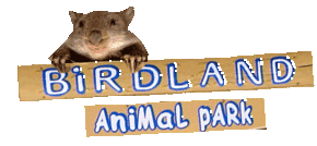 Birdland Animal Park - Holiday Find