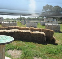 We Are Paintball - Holiday Find