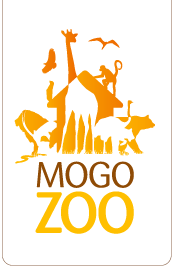 Mogo Zoo - Holiday Find