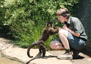 National Zoo & Aquarium - Holiday Find 1