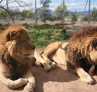 Mansfield Zoo - Holiday Find