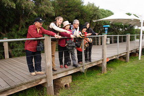 Phillip Island Penguin Parade - Holiday Find 1