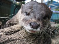 Underwater World - Holiday Find 1