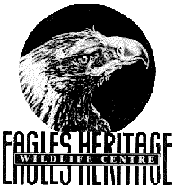 Eagles Heritage - Holiday Find 0