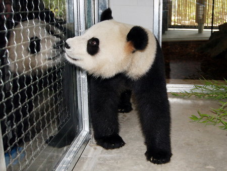 Adelaide Zoo - Holiday Find 3