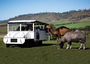 Zoo Doo Wildlife Park - Holiday Find 2