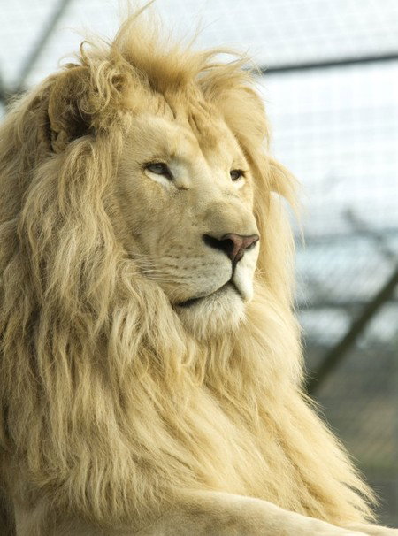 Zoo Doo Wildlife Park - Holiday Find 3