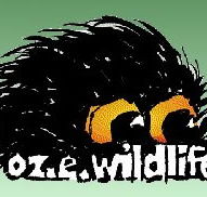 OZe Wildlife - Holiday Find