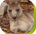 Calmsley Hill City Farm - Holiday Find