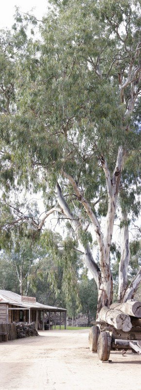 Pioneer Settlement - Holiday Find 1