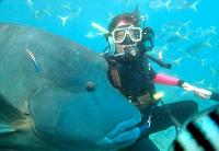 Maxi Ragamuffin - Holiday Find 1