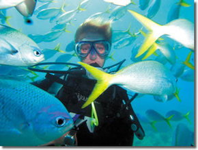 Maxi Ragamuffin - Holiday Find 3