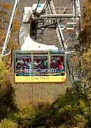 Scenic World Blue Mountains - Holiday Find 1