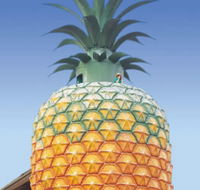 The Big Pineapple - Holiday Find