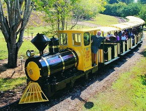 The Big Pineapple - Holiday Find 1