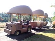 The Big Pineapple - Holiday Find 2