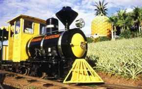 The Big Pineapple - Holiday Find 3